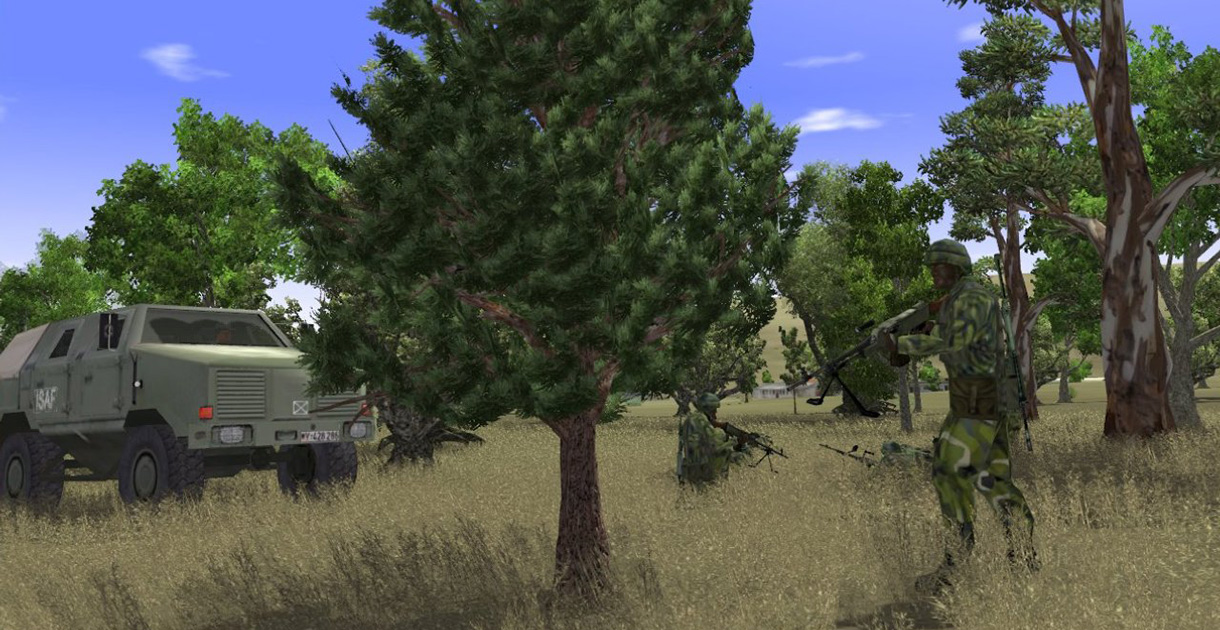 day_grass_trees